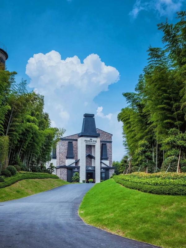 带娃去哪儿玩？“浙”些乐园，每个都能让你乐到飞起来