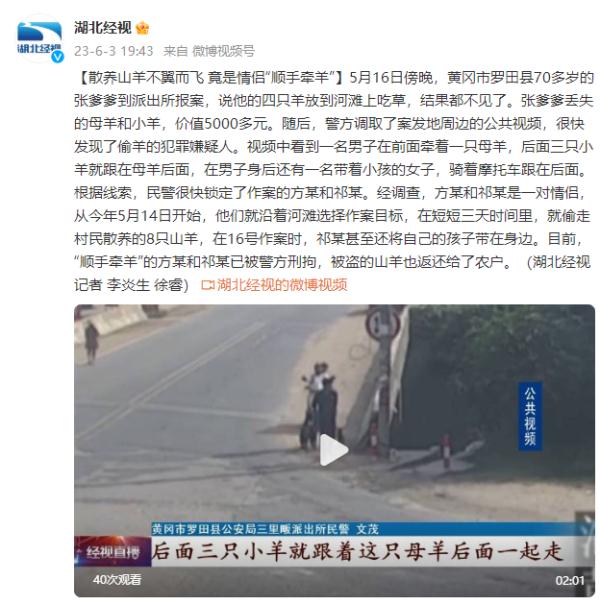 散养山羊不翼而飞 竟是情侣“顺手牵羊” 散养山羊不翼而飞 竟是情侣“顺手牵羊”