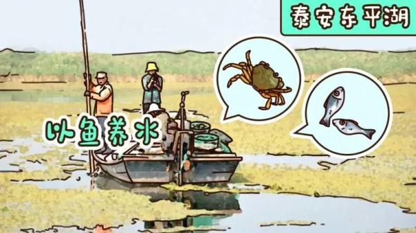 如此山东｜修复生态这件事上，“小身体”也有大能量