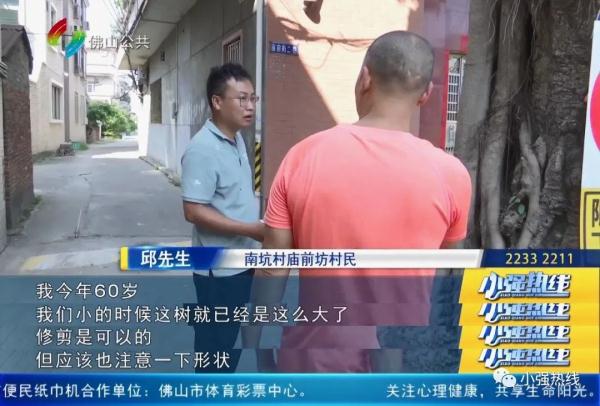 “太丑啦！”古树做“美容”，村民们都不满意......”村委回应：后续会改进！