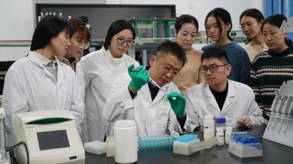 西北大学研究团队最新成果揭示灵长类社会演化之谜