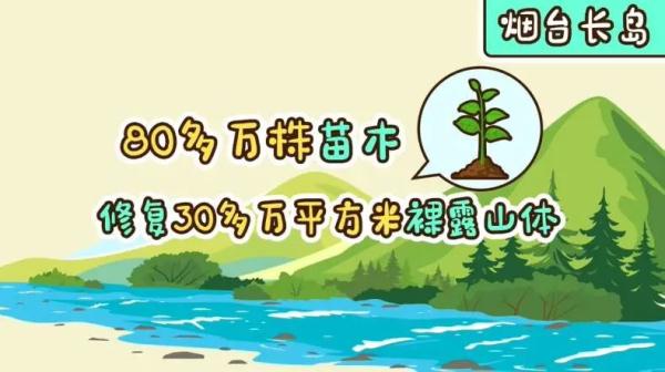 如此山东｜修复生态这件事上，“小身体”也有大能量