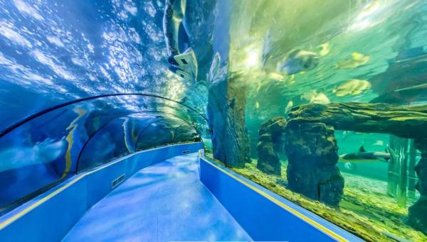 带娃去哪儿玩？“浙”些乐园，每个都能让你乐到飞起来