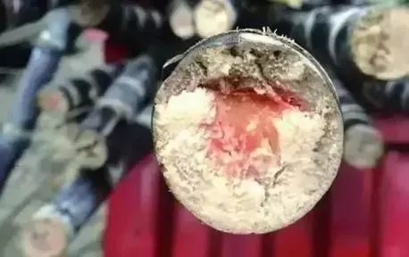误食严重可致命！知名超市被曝食物发霉，市民：喝完才发现…
