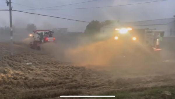 直击河南抢收小麦,“有收割机24小时作业” 直击河南抢收小麦,“有收割机24小时作业”