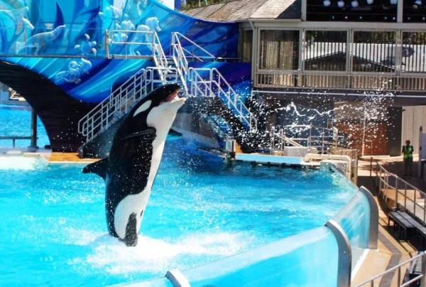 带娃去哪儿玩？“浙”些乐园，每个都能让你乐到飞起来