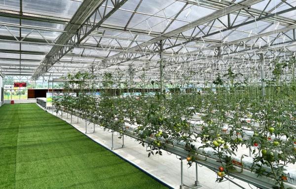 融业态、延链条、优布局——湖南娄底发展城郊高效农业经济见闻