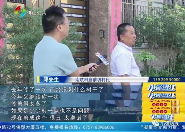 “太丑啦！”古树做“美容”，村民们都不满意......”村委回应：后续会改进！