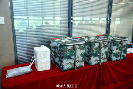 细胞、线虫、再生稻……神十五带回的实验样品交给科学家了