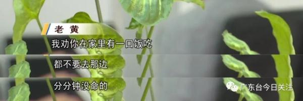 阳江一男子逃出缅北诈骗团伙后，说出了这些真相