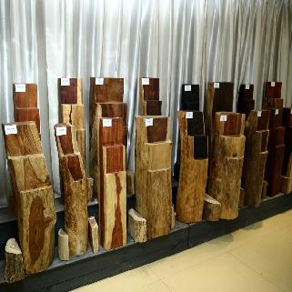 全国首批，云南两个基地入选！