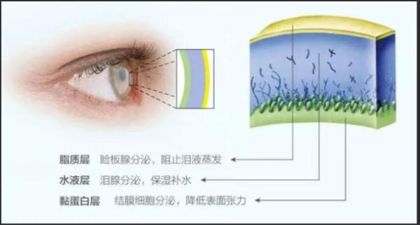 @刷手机看电脑的你，眼睛干涩怎么办？