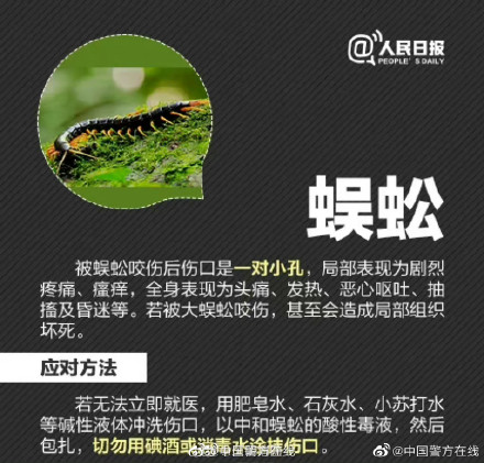 男子摘枇杷被蚊子叮的满身是包