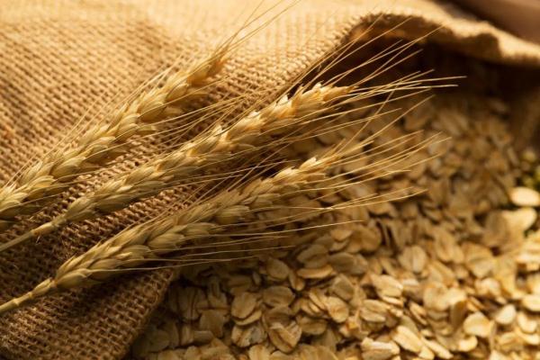 膳食纤维好处多，但也不能贪吃呦！