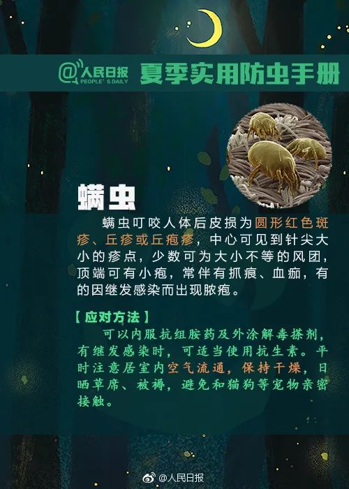 毒液堪比硫酸，有人被毁容！这种虫千万别拍！