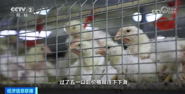 便宜了！价格连续下降！