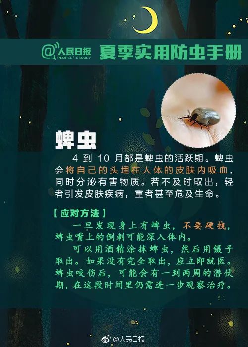毒液堪比硫酸，有人被毁容！这种虫千万别拍！