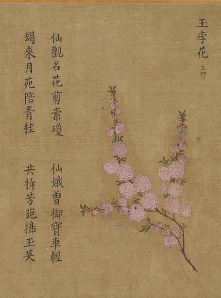 700多年前,是怎么送花花的? 700多年前,是怎么送花花的?