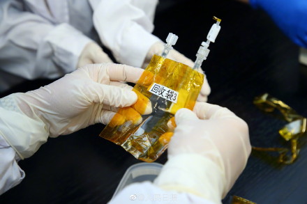 细胞、线虫、再生稻……神十五带回的实验样品交给科学家了