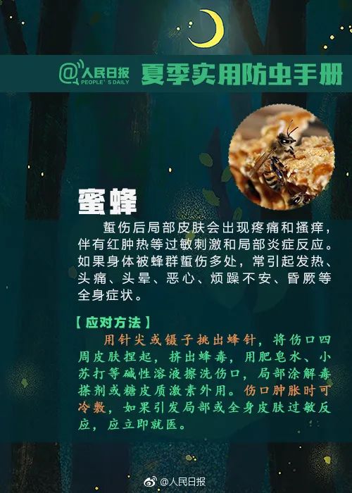 毒液堪比硫酸，有人被毁容！这种虫千万别拍！
