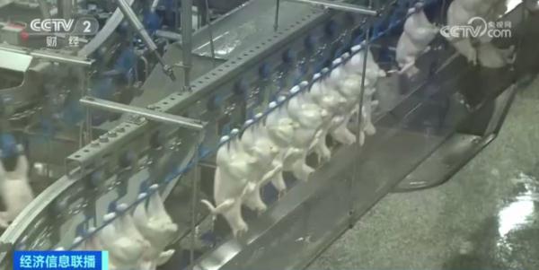 便宜了！价格连续下降！