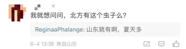 热搜第一！遇到这种虫子千万别打