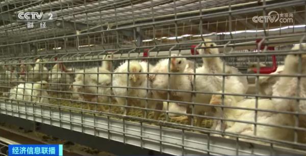 便宜了！价格连续下降！