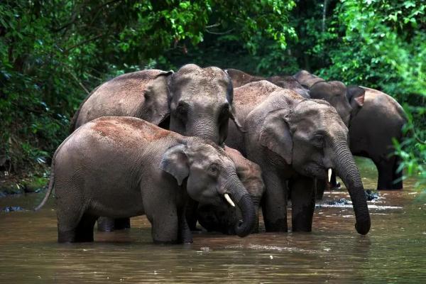 全国首批，云南两个基地入选！