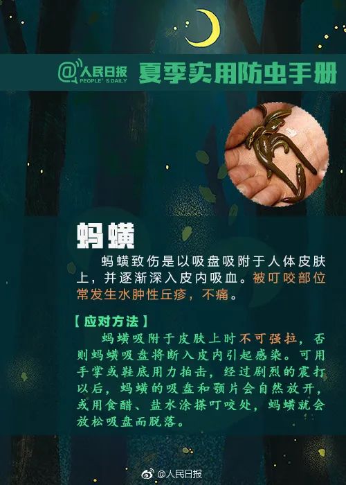 毒液堪比硫酸，有人被毁容！这种虫千万别拍！
