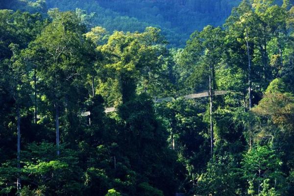 全国首批，云南两个基地入选！