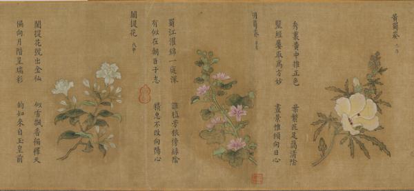 700多年前,是怎么送花花的? 700多年前,是怎么送花花的?