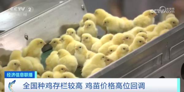 便宜了！价格连续下降！