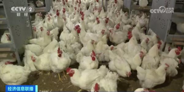 便宜了！价格连续下降！