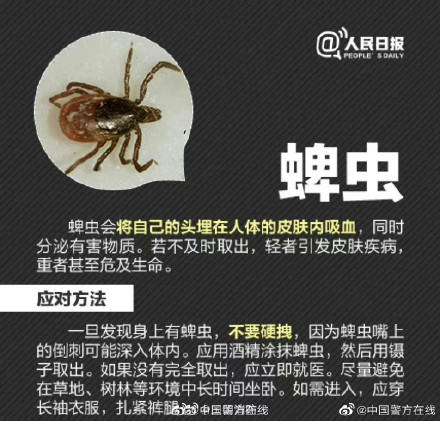男子摘枇杷被蚊子叮的满身是包