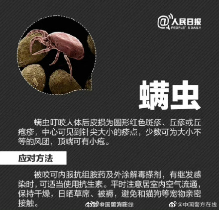 男子摘枇杷被蚊子叮的满身是包