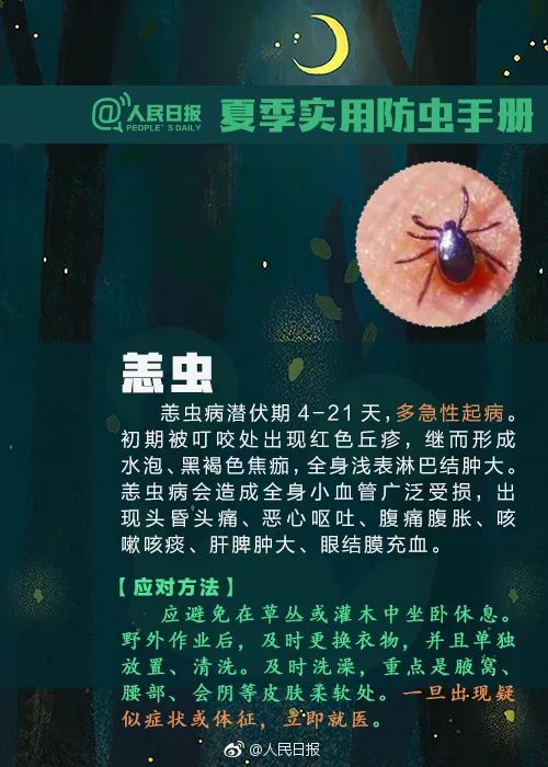 毒液堪比硫酸，有人被毁容！这种虫千万别拍！
