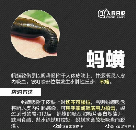 男子摘枇杷被蚊子叮的满身是包