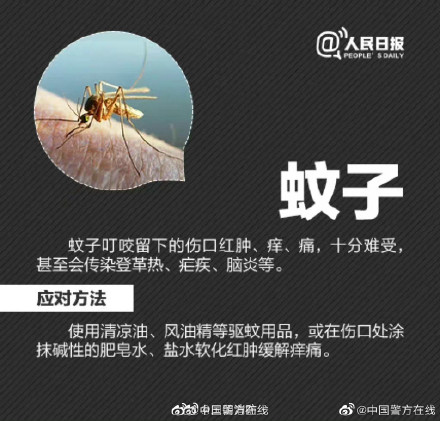 男子摘枇杷被蚊子叮的满身是包