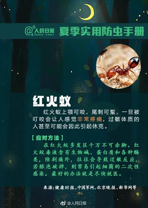 毒液堪比硫酸，有人被毁容！这种虫千万别拍！