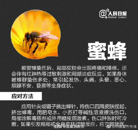 男子摘枇杷被蚊子叮的满身是包