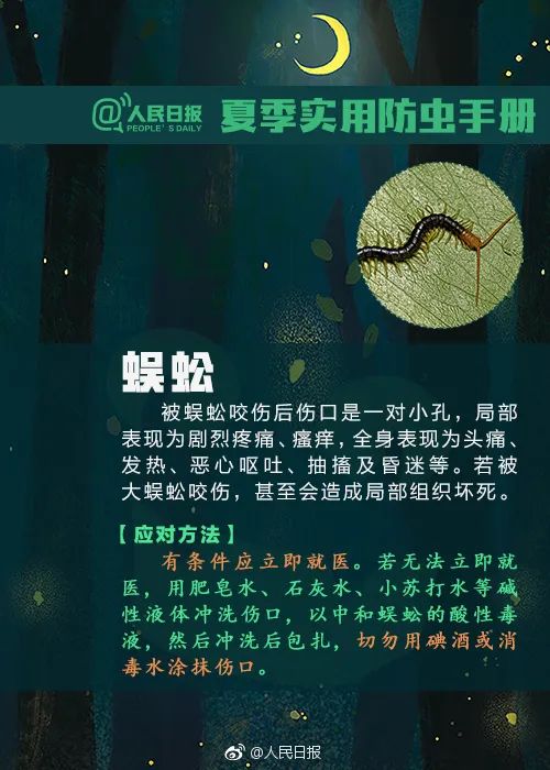 毒液堪比硫酸，有人被毁容！这种虫千万别拍！