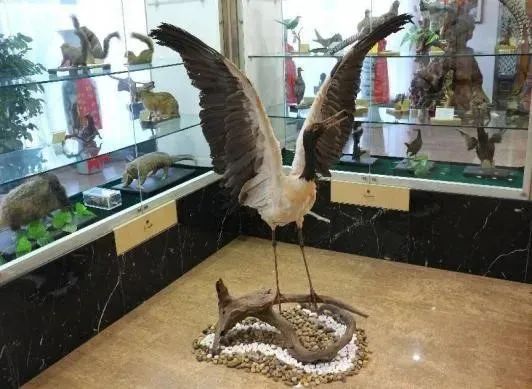 全国首批，云南两个基地入选！