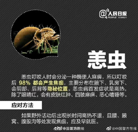 男子摘枇杷被蚊子叮的满身是包