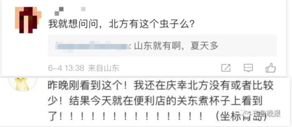 “我的脸被它毁容了”！重要提醒：这种虫千万别拍，毒液堪比硫酸