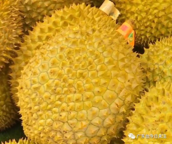 榴莲降价了？医生提醒：这三类人不适宜吃
