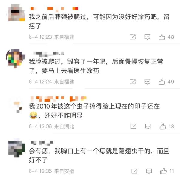 “我的脸被隐翅虫毁容了”，引183万人热议