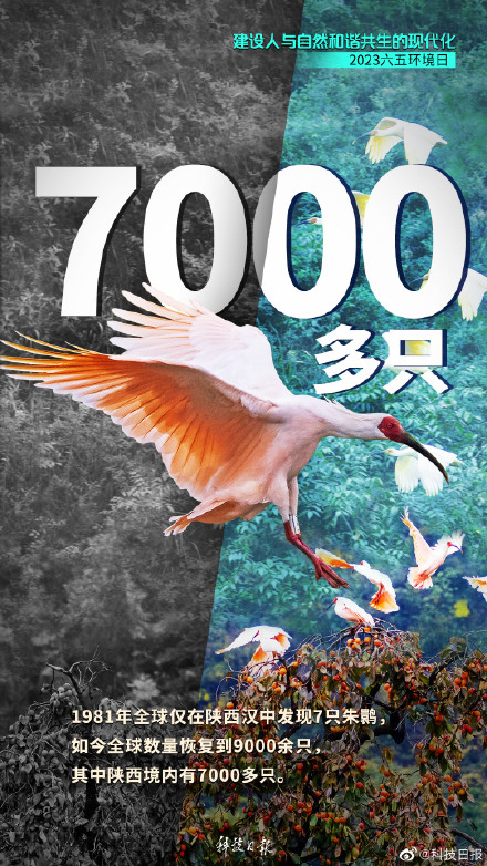 这组对比图，过于震撼！