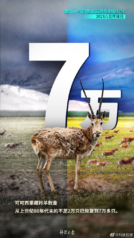 这组对比图，过于震撼！