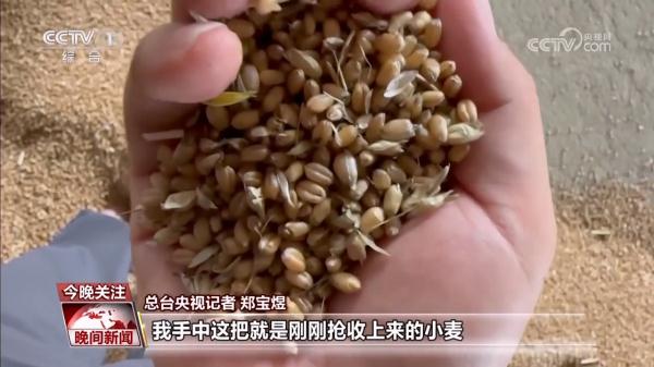 雨口夺粮的一周