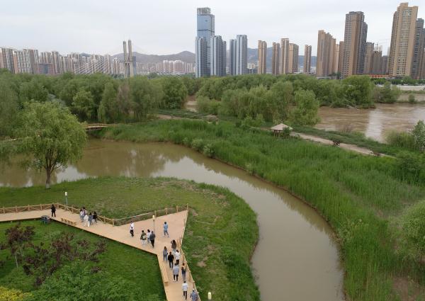 甘肃兰州:黄河岸 绿意浓 甘肃兰州:黄河岸 绿意浓